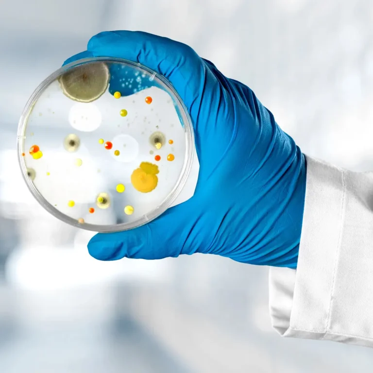 Multiresistente Keime beim Zahnarzt - Wie kann man Infektionen vermeiden?